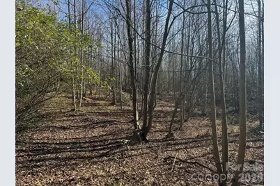 001 Rock Creek Church Road, North Wilkesboro, NC 28659 - Photo 11