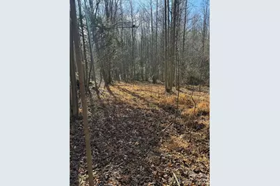 001 Rock Creek Church Road, North Wilkesboro, NC 28659 - Photo 3