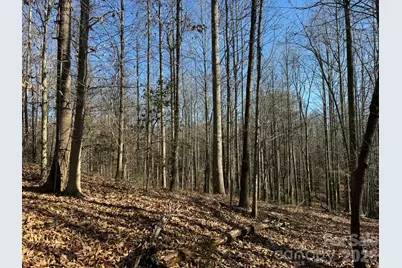 001 Rock Creek Church Road, North Wilkesboro, NC 28659 - Photo 15