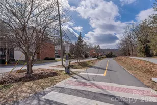 252 Wash Creek Dr, Hendersonville, NC 28739 - Photo 23