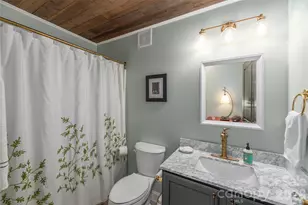 252 Wash Creek Dr, Hendersonville, NC 28739 - Photo 17