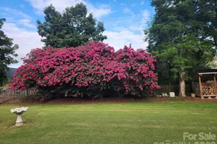 7986 Cotton St, Harrisburg, NC 28075 - Photo 9