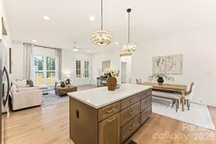 1131 White Jenkins Rd, Bessemer City, NC 28016 - Photo 11