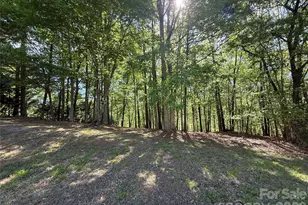 163 High Lake Dr, Statesville, NC 28677 - Photo 13