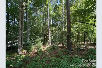 32 Miners Creek Drive, Lincolnton, NC 28092 - Photo 3