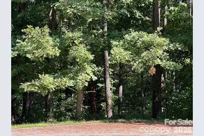 32 Miners Creek Drive, Lincolnton, NC 28092 - Photo 5