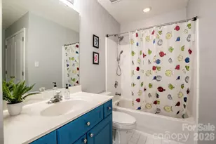 18714 Ramsey Cove Dr, Cornelius, NC 28031 - Photo 19