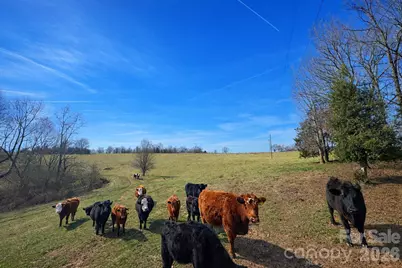 0 Red Barn Road, Ellenboro, NC 28040 - Photo 7