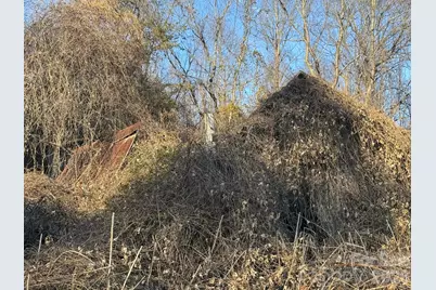 002 Rock Creek Church Road, North Wilkesboro, NC 28659 - Photo 9