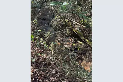 002 Rock Creek Church Road, North Wilkesboro, NC 28659 - Photo 15