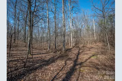 0000 Judge Road, Tryon, NC 28782 - Photo 19