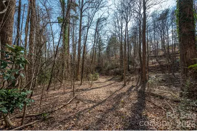 0000 Judge Road, Tryon, NC 28782 - Photo 23