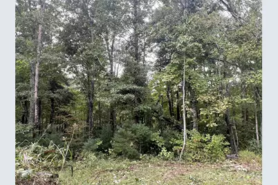 99999 Pole Creasman Road, Asheville, NC 28806 - Photo 3