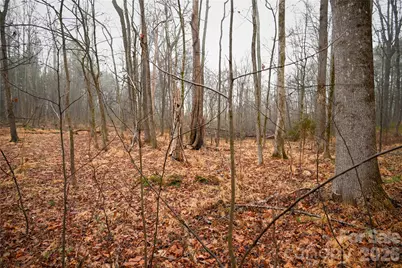 Tbd Dirgie Mine Road #C, Roxboro, NC 27574 - Photo 9