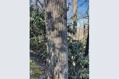 Lot E-15 Laurel Ridge Road, Banner Elk, NC 28604 - Photo 5