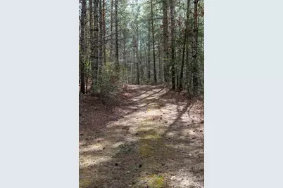 5515 Narrow Guage Drive #22, Collettsville, NC 28611 - Photo 9