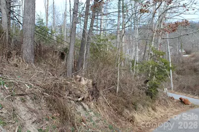 00 Monte Vista Circle, Spruce Pine, NC 28777 - Photo 11