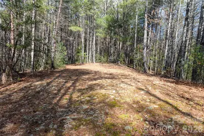 000 Narrow Gauge Drive #23, Collettsville, NC 28611 - Photo 21
