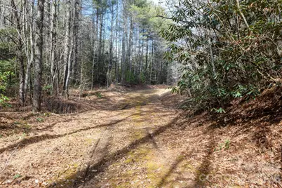 000 Narrow Gauge Drive #23, Collettsville, NC 28611 - Photo 15