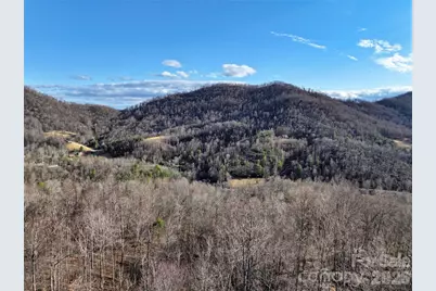0000 Fork Mountain Road, Bakersville, NC 28705 - Photo 7