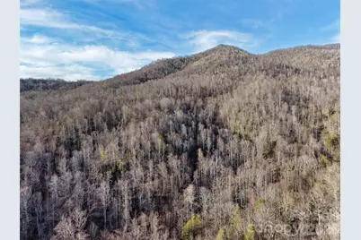 0000 Fork Mountain Road, Bakersville, NC 28705 - Photo 33