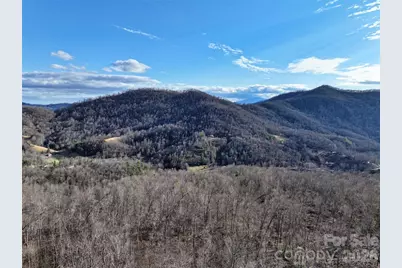 0000 Fork Mountain Road, Bakersville, NC 28705 - Photo 9