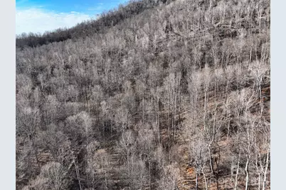 0000 Fork Mountain Road, Bakersville, NC 28705 - Photo 11