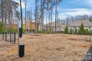 129 Rosebay Dr, Mooresville, NC 28117 - Photo 35