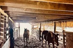 6714 Old Shelby Rd, Vale, NC 28168 - Photo 31