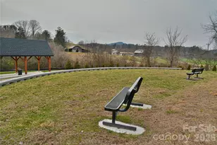 138 Mavrick Dr, Mills River, NC 28759 - Photo 43