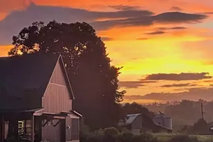 138 Mavrick Dr, Mills River, NC 28759 - Photo 45