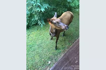 135 Pretty Ridge Road, Maggie Valley, NC 28751 - Photo 45