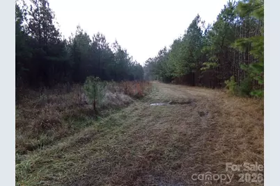 104 Ac Cedarhurst Road, Chester, SC 29706 - Photo 9