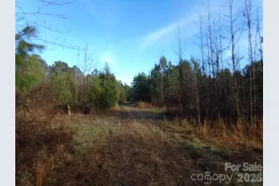 104 Ac Cedarhurst Road, Chester, SC 29706 - Photo 5