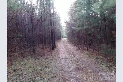 104 Ac Cedarhurst Road, Chester, SC 29706 - Photo 13