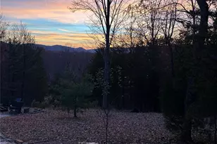 631 Mountain Pkwy, Mill Spring, NC 28756 - Photo 39