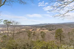 768 Gardner Ln, Pisgah Forest, NC 28768 - Photo 33