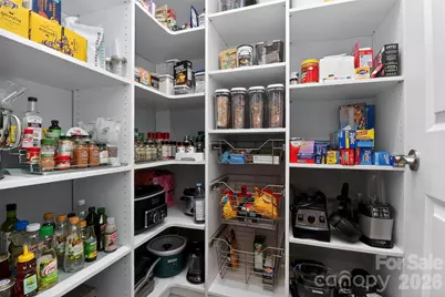 9511 Liberty Hill Drive, Mint Hill, NC 28227 - Photo 11