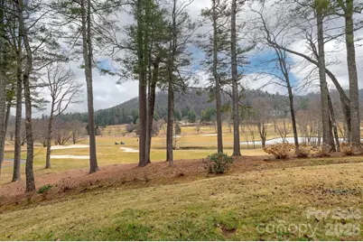 155 Winding Meadows Drive, Flat Rock, NC 28731 - Photo 35