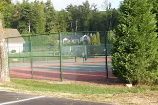 155 Winding Meadows Dr, Flat Rock, NC 28731 - Photo 45