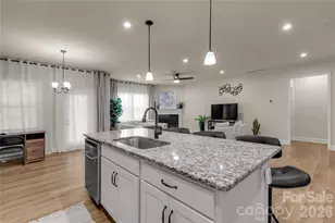 17010 Dogwood Crk Ln, Charlotte, NC 28278 - Photo 9
