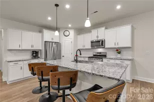 17010 Dogwood Crk Ln, Charlotte, NC 28278 - Photo 11