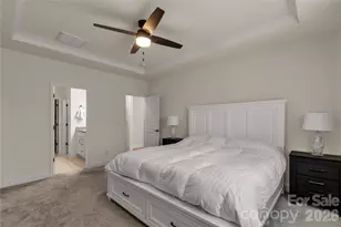 17010 Dogwood Crk Ln, Charlotte, NC 28278 - Photo 17