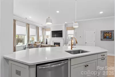 9033 Charles Francis Lane, Cornelius, NC 28031 - Photo 19