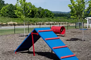 624 River Btm Rd, Fletcher, NC 28792 - Photo 41