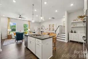 8678 Miles Gap Rd, Indian Land, SC 29707 - Photo 13