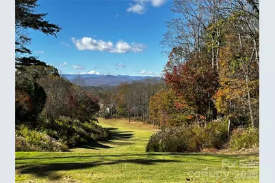 1410 Mountain Meadow Drive, Hendersonville, NC 28739 - Photo 41