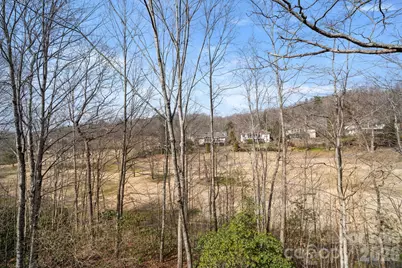 1410 Mountain Meadow Drive, Hendersonville, NC 28739 - Photo 23