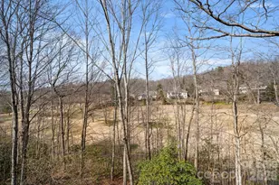 1410 Mountain Meadow Dr, Hendersonville, NC 28739 - Photo 23