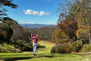 1410 Mountain Meadow Dr, Hendersonville, NC 28739 - Photo 41